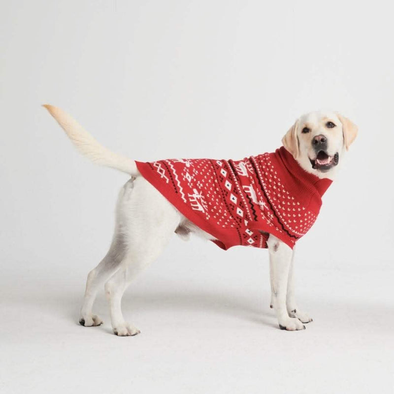 Suéter de punto para perro - Dasher Rojo