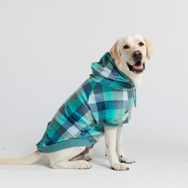 Sudadera de Terciopelo para Perros - Turquesa a Cuadros