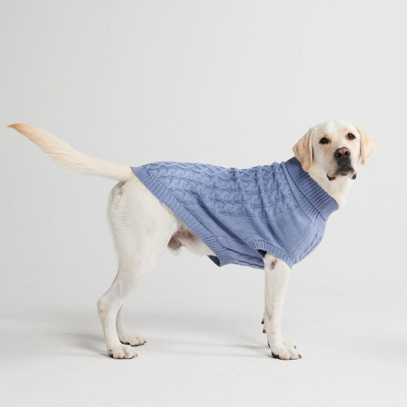 Suéter de punto de trenzas para perros - Azul
