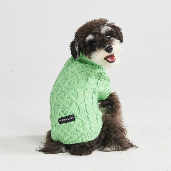 Suéter de punto de trenzas para perros - Verde menta