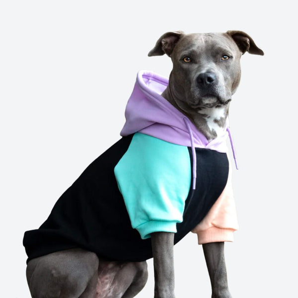 Sudadera para Perros - Ciberpunk