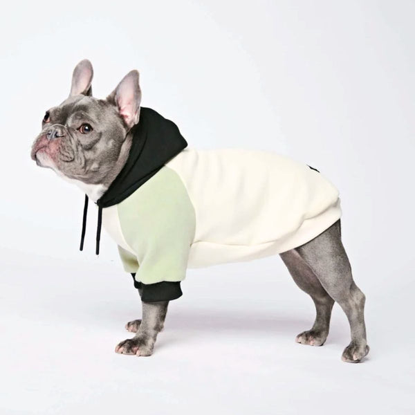 Sudadera para Perros - Crema de oliva