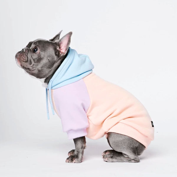 Sudadera para Perros - Algodón de azúcar