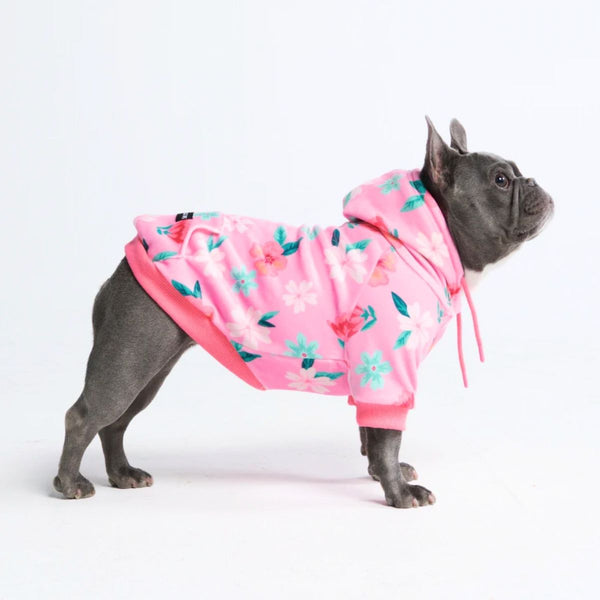 Blossom Sudadera para Perro - Rosa