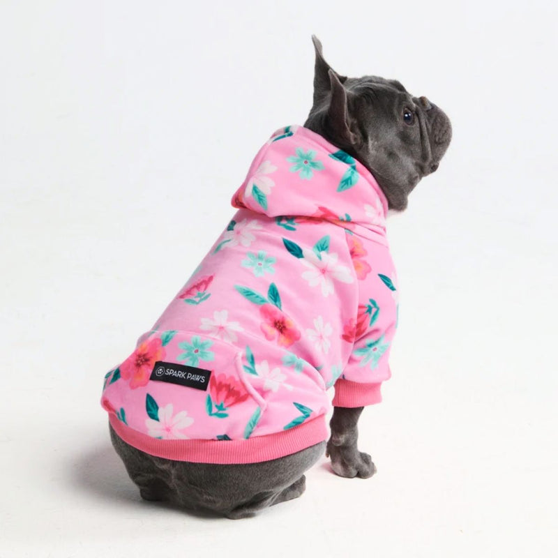 Blossom Sudadera para Perro - Rosa