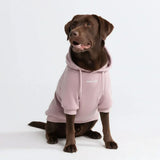 Sudadera Esencial para Perros - Topo