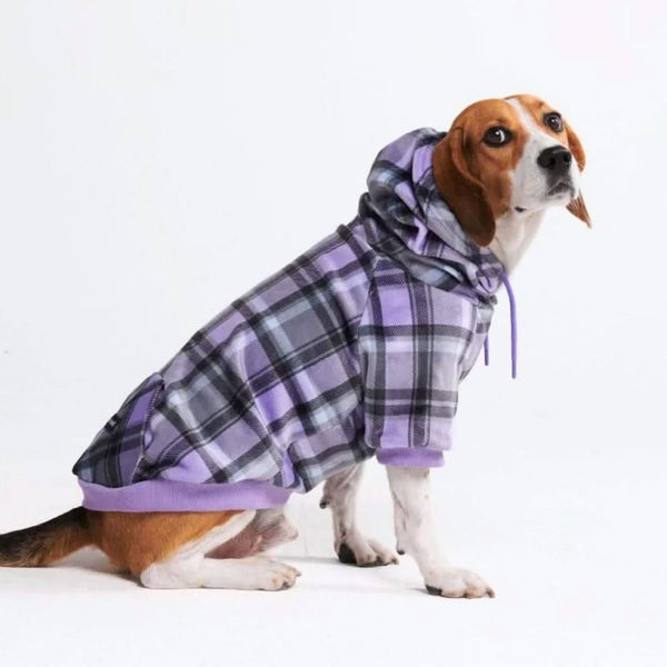 Sudadera a Cuadros para Perros - Cuadros morados