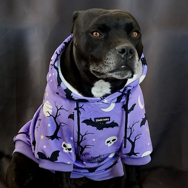 Sudadera con capucha para perro de Halloween - Morado
