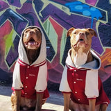 Chaqueta universitaria para perros - Rojo