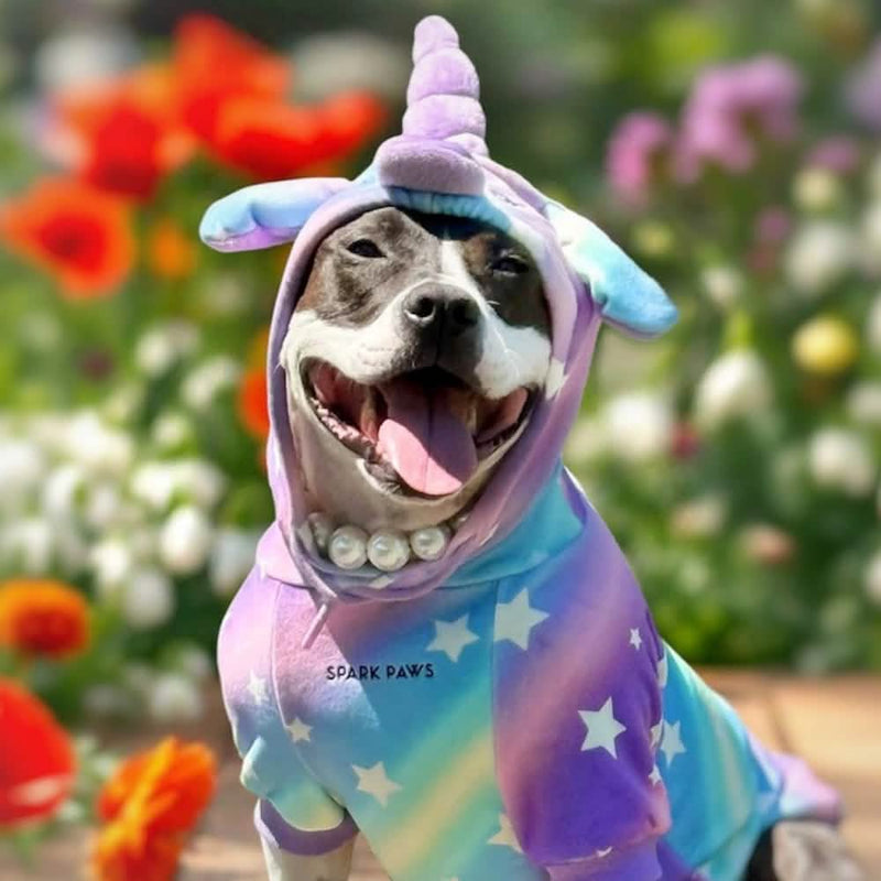 Sudadera de Halloween para humano - Unicornio