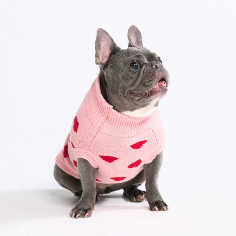 Hearts Dog Sweater