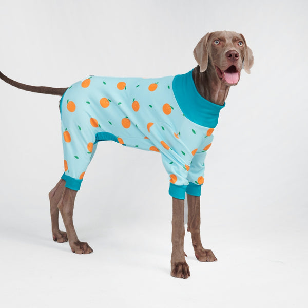Pijama para Perros - Naranjas