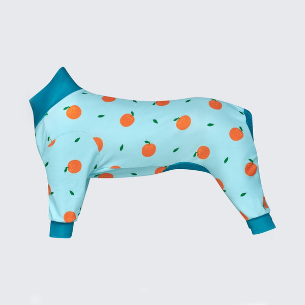 Pijama para Perros - Naranjas