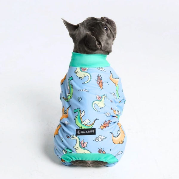 Pijama para perro - Dragones