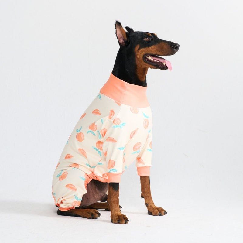 Pijama para Perros - Duraznos
