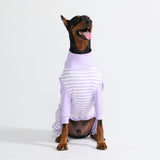 Pijama para Perros - Rayas Moradas