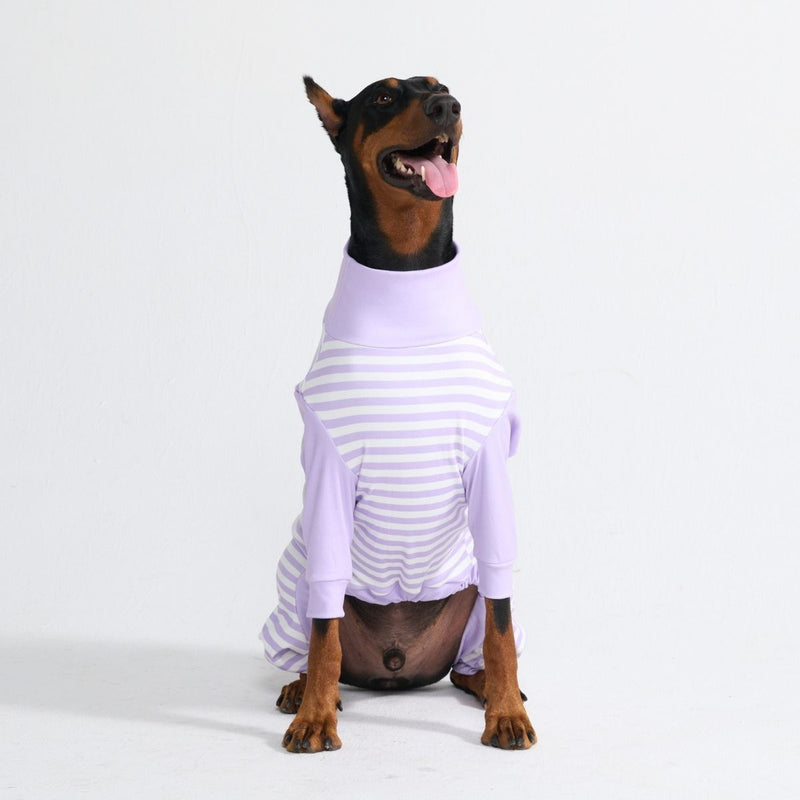 Pijama para Perros - Rayas Moradas