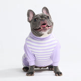 Pijama para Perros - Rayas Moradas