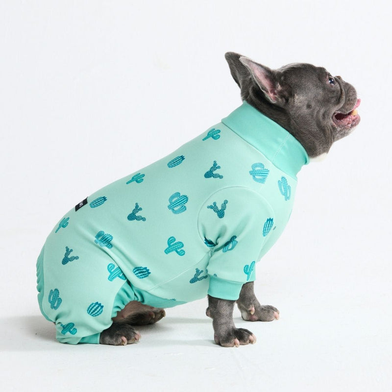 Pijama para Perros - Cactus