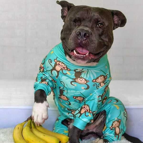 Pijama para perro - Monkey Business