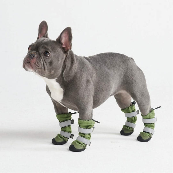 Botas para perros resistentes al agua con estructura flexible - Verde