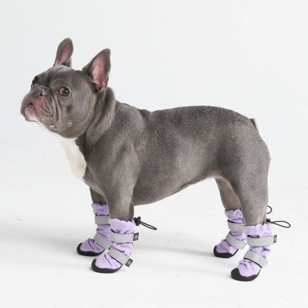 Botas para perros resistentes al agua con estructura flexible - Lila