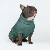 Suéter de punto de trenzas para perros - Verde pino