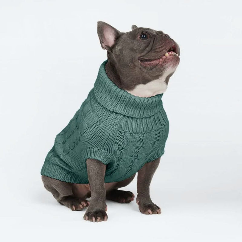 Suéter de punto de trenzas para perros - Verde pino