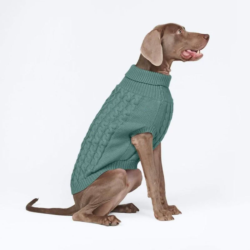 Suéter de punto de trenzas para perros - Verde pino