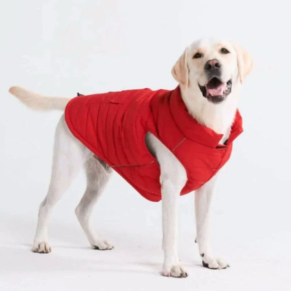Chaqueta impermeable WarmShield™ - Rojo