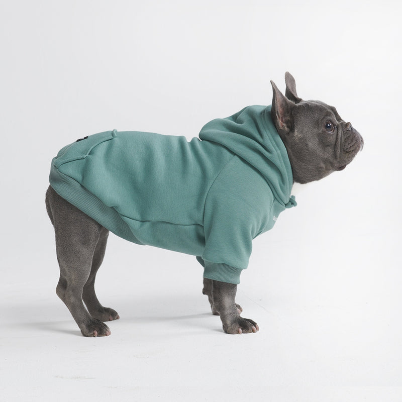 Sudadera Esencial para Perros - Verde Azulado
