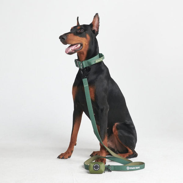 Juego de collar táctico para perros - Verde militar