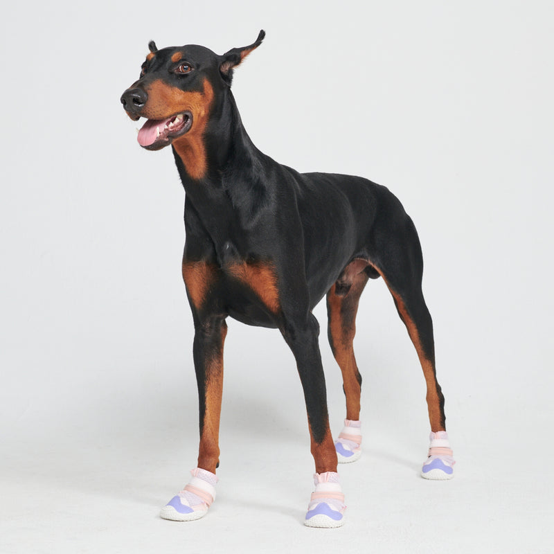 Zapatos para perros Hot Pavement Pawtector - Rosa Morado