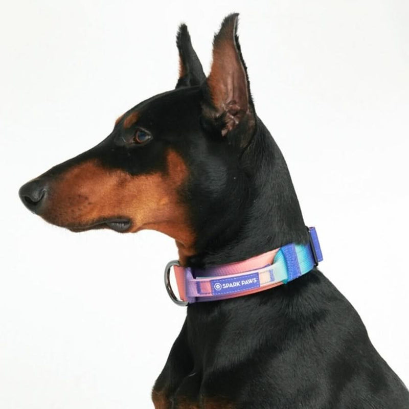 Collar táctico para perros - Caleidoscopio