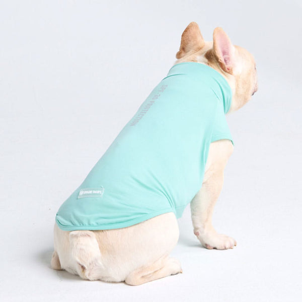 Camiseta para perro con bloqueador solar - Turquesa