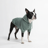 Sudadera Esencial para Perros - Verde Azulado