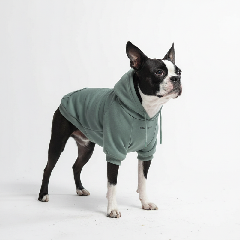 Sudadera Esencial para Perros - Verde Azulado