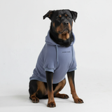 Sudadera Esencial para Perros - Azul Pizarra