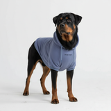 Sudadera Esencial para Perros - Azul Pizarra