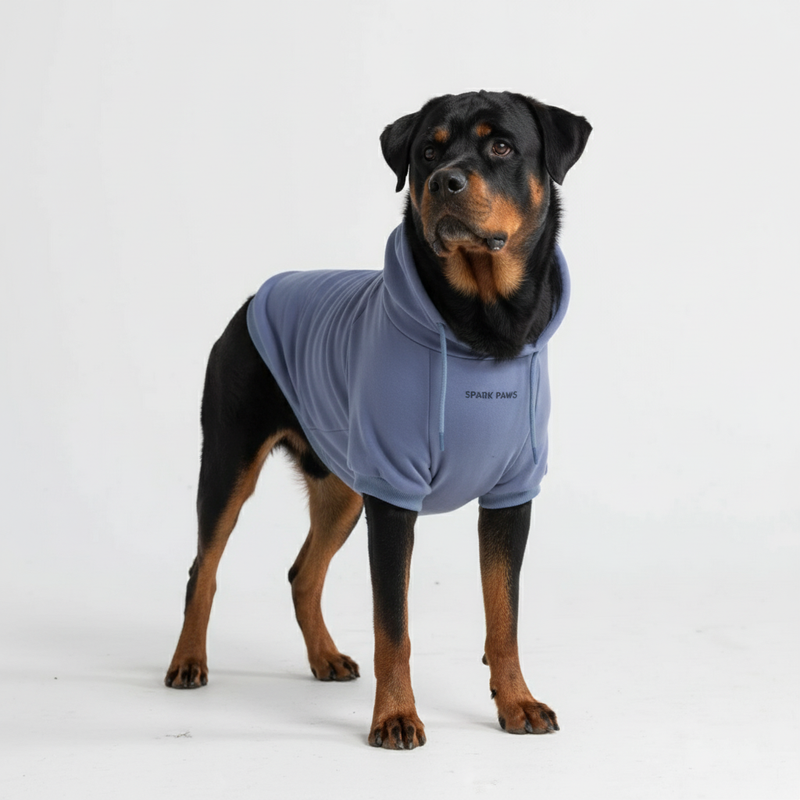Sudadera Esencial para Perros - Azul Pizarra