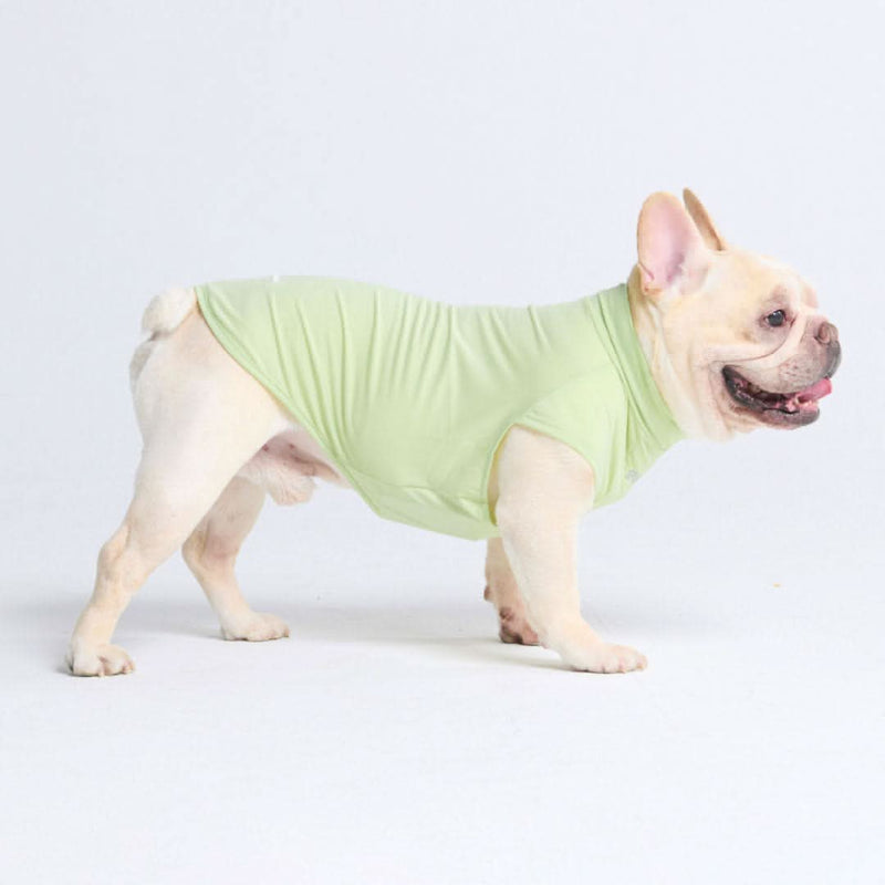 Camiseta para perro con bloqueador solar - Verde claro
