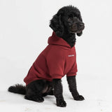 Sudadera Esencial para Perros - Burdeos