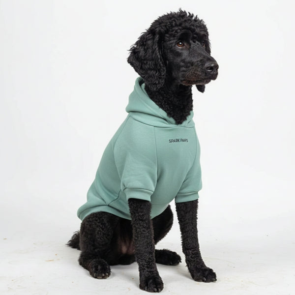 Sudadera Esencial para Perros - Verde Azulado