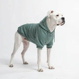 Sudadera Esencial para Perros - Verde Azulado