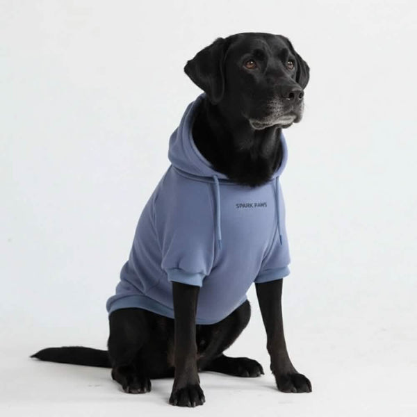 Sudadera Esencial para Perros - Azul Pizarra