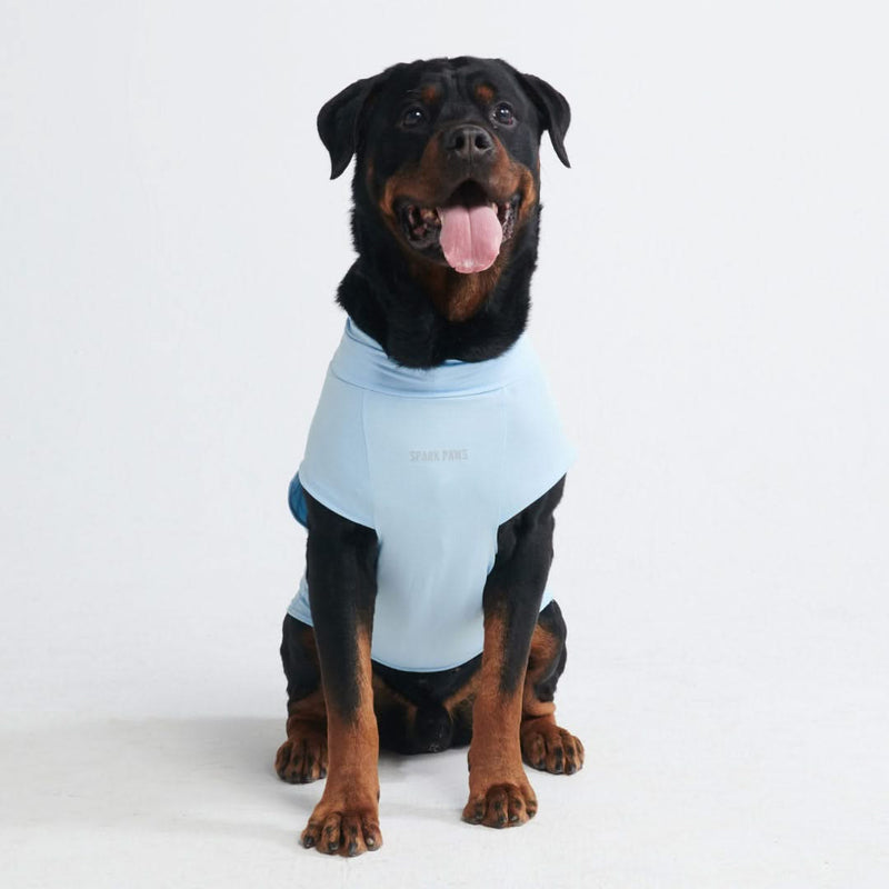 Camiseta para perro con bloqueador solar - Azul