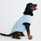 Camiseta para perro con bloqueador solar - Azul