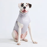 Camiseta para perro con bloqueador solar - Gris