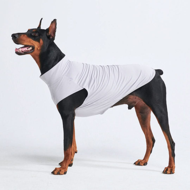 Camiseta para perro con bloqueador solar - Gris