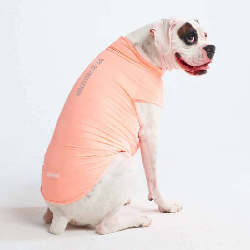 Camiseta para perro con bloqueador solar - Melocotón